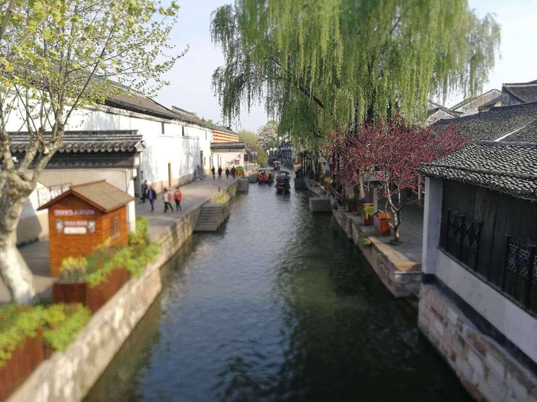 逃离大犀牛出没地